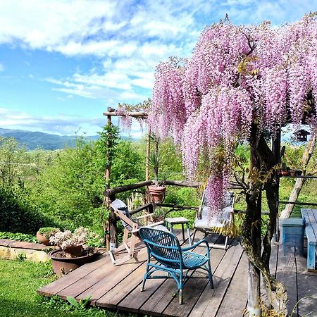 Tuscan Hills - Stonehouse, Garden & Pool 维基奥 外观 照片