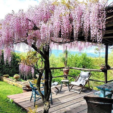 Tuscan Hills - Stonehouse, Garden & Pool 维基奥 外观 照片