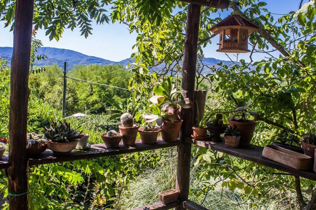 Tuscan Hills - Stonehouse, Garden & Pool 维基奥 外观 照片