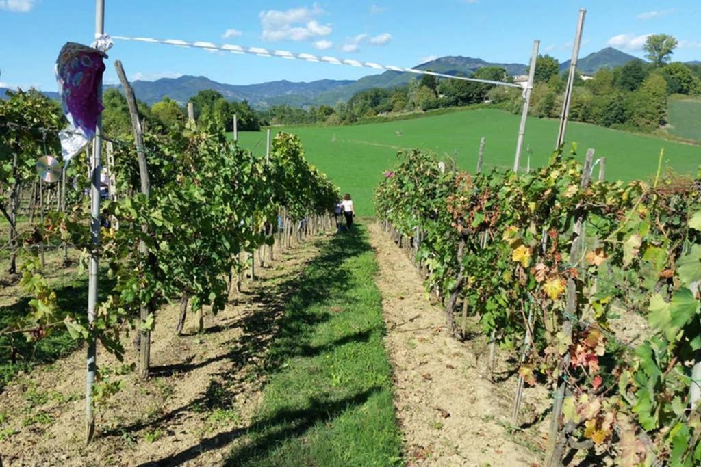 Tuscan Hills - Stonehouse, Garden & Pool 维基奥 外观 照片