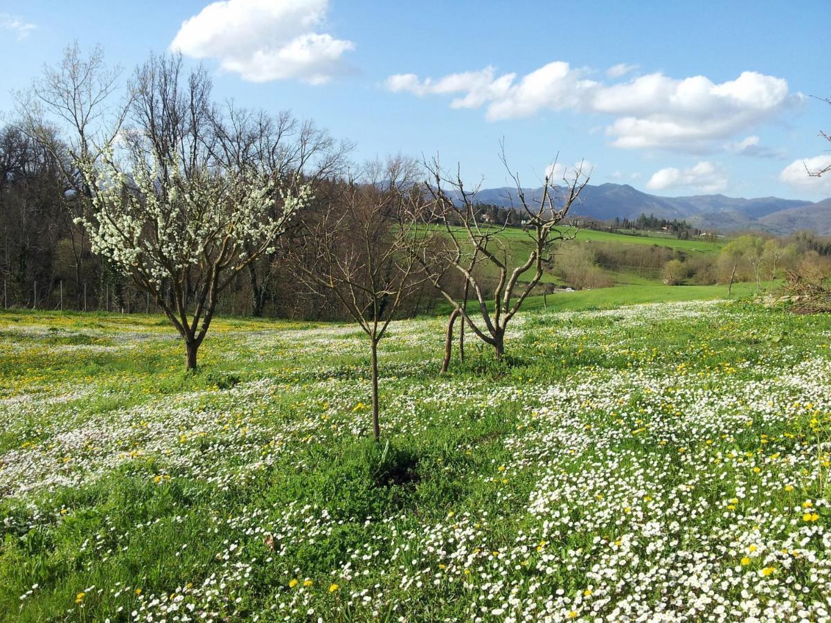 Tuscan Hills - Stonehouse, Garden & Pool 维基奥 外观 照片