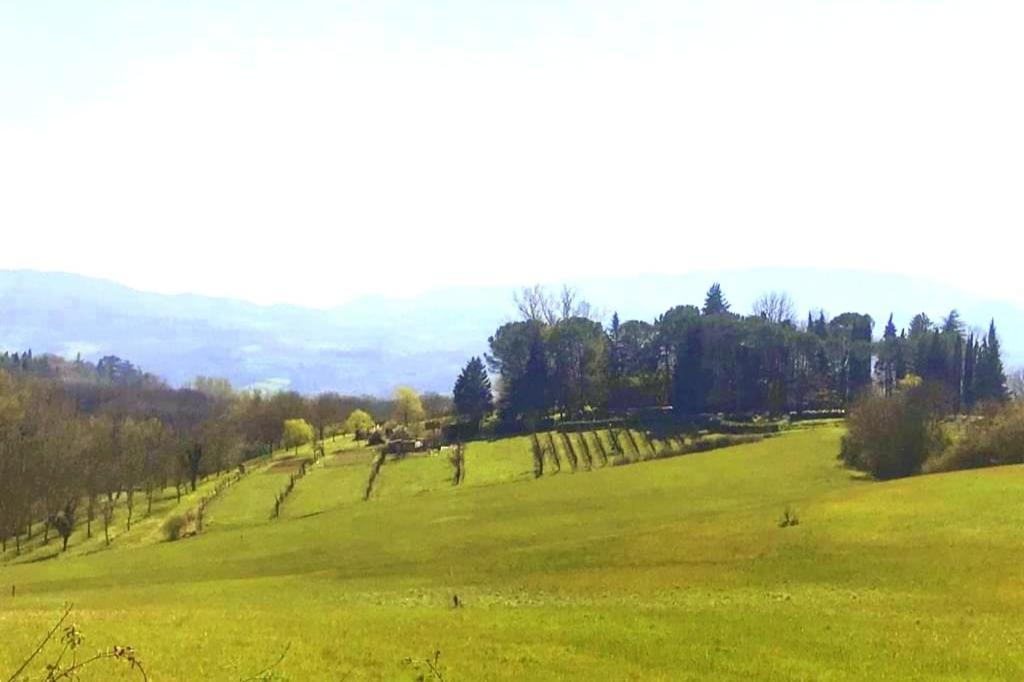 Tuscan Hills - Stonehouse, Garden & Pool 维基奥 外观 照片
