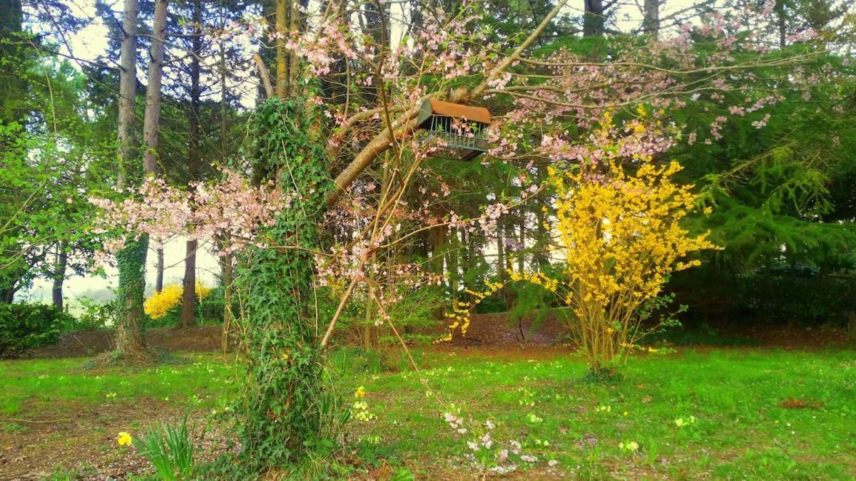Tuscan Hills - Stonehouse, Garden & Pool 维基奥 外观 照片