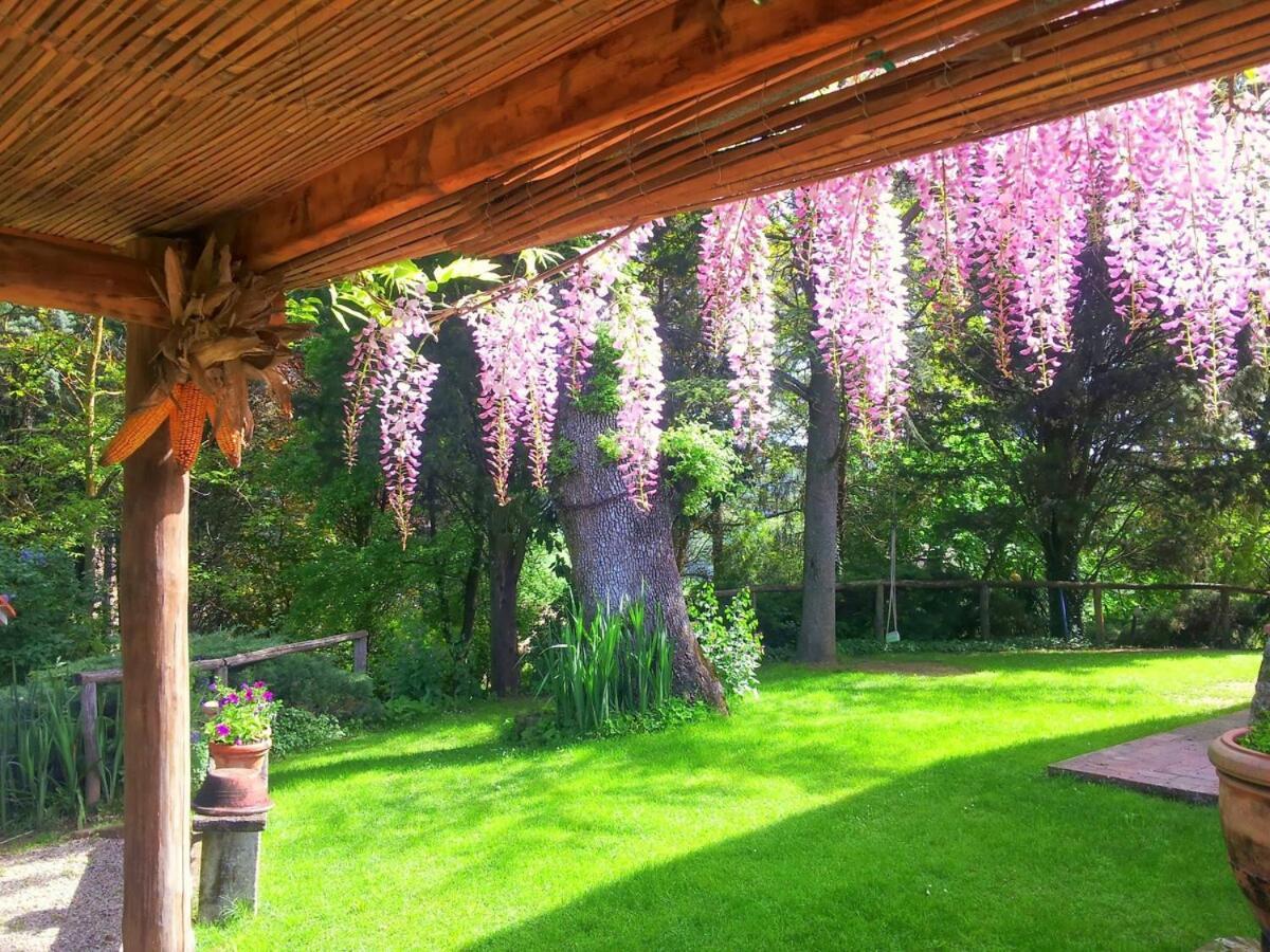 Tuscan Hills - Stonehouse, Garden & Pool 维基奥 外观 照片