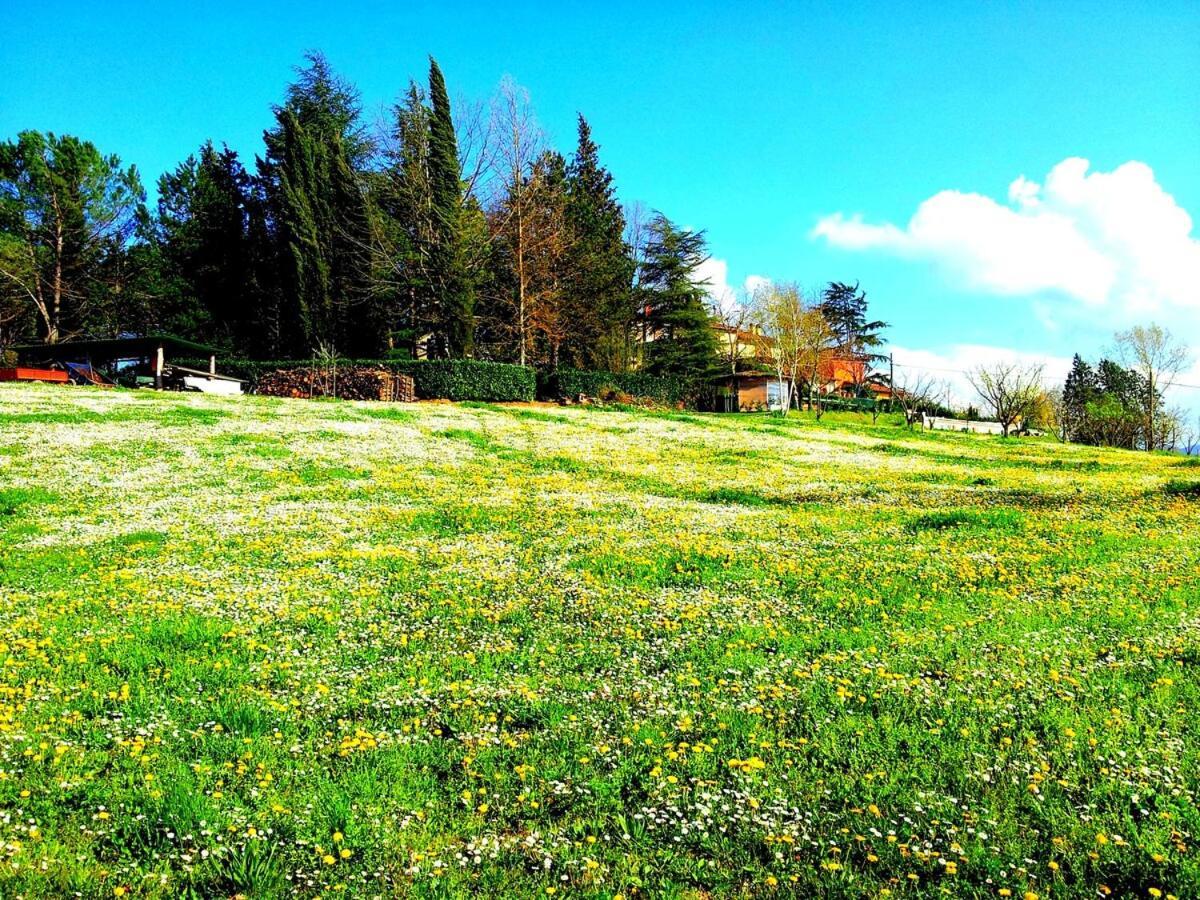 Tuscan Hills - Stonehouse, Garden & Pool 维基奥 外观 照片