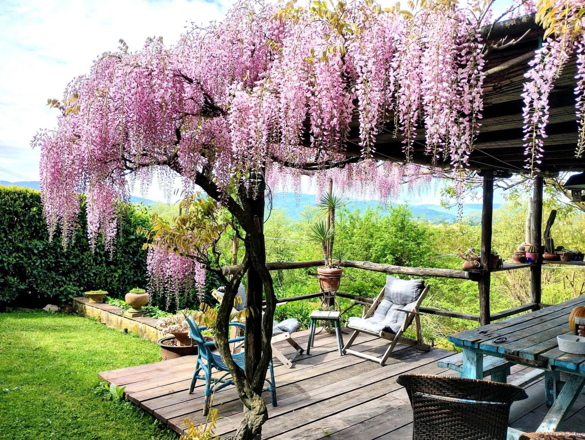 Tuscan Hills - Stonehouse, Garden & Pool 维基奥 外观 照片